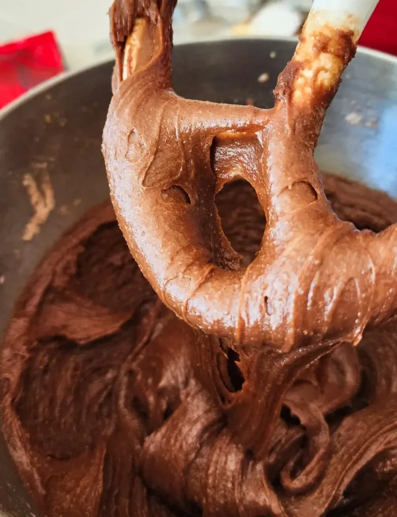 Chocolate peanut butter cookie dough