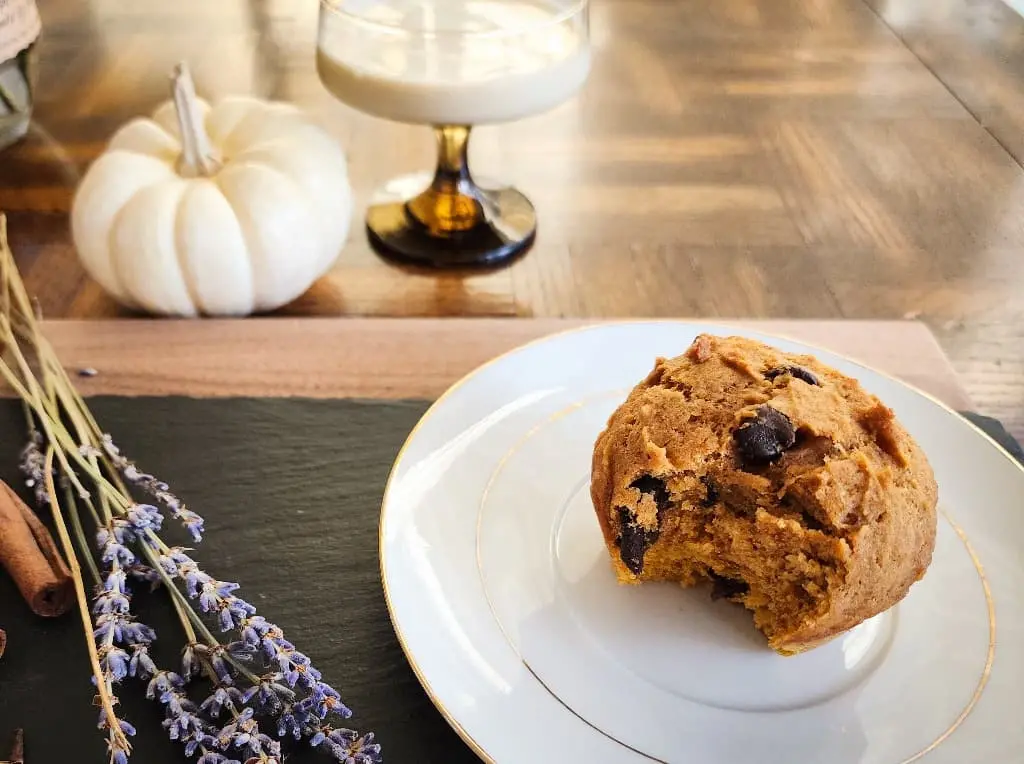 One chocolate chip pumpkin muffin on a plate